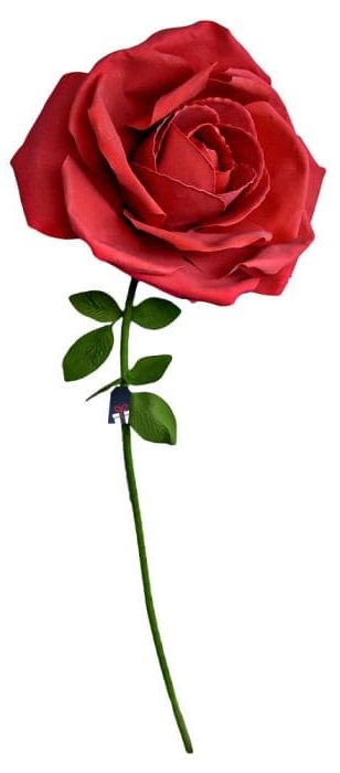 XXL огромна роза - Рози како подарок за жена