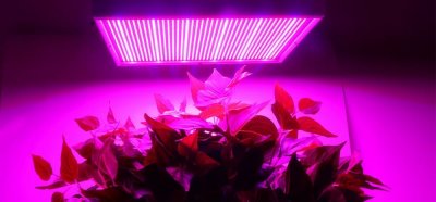LED светилка за растење